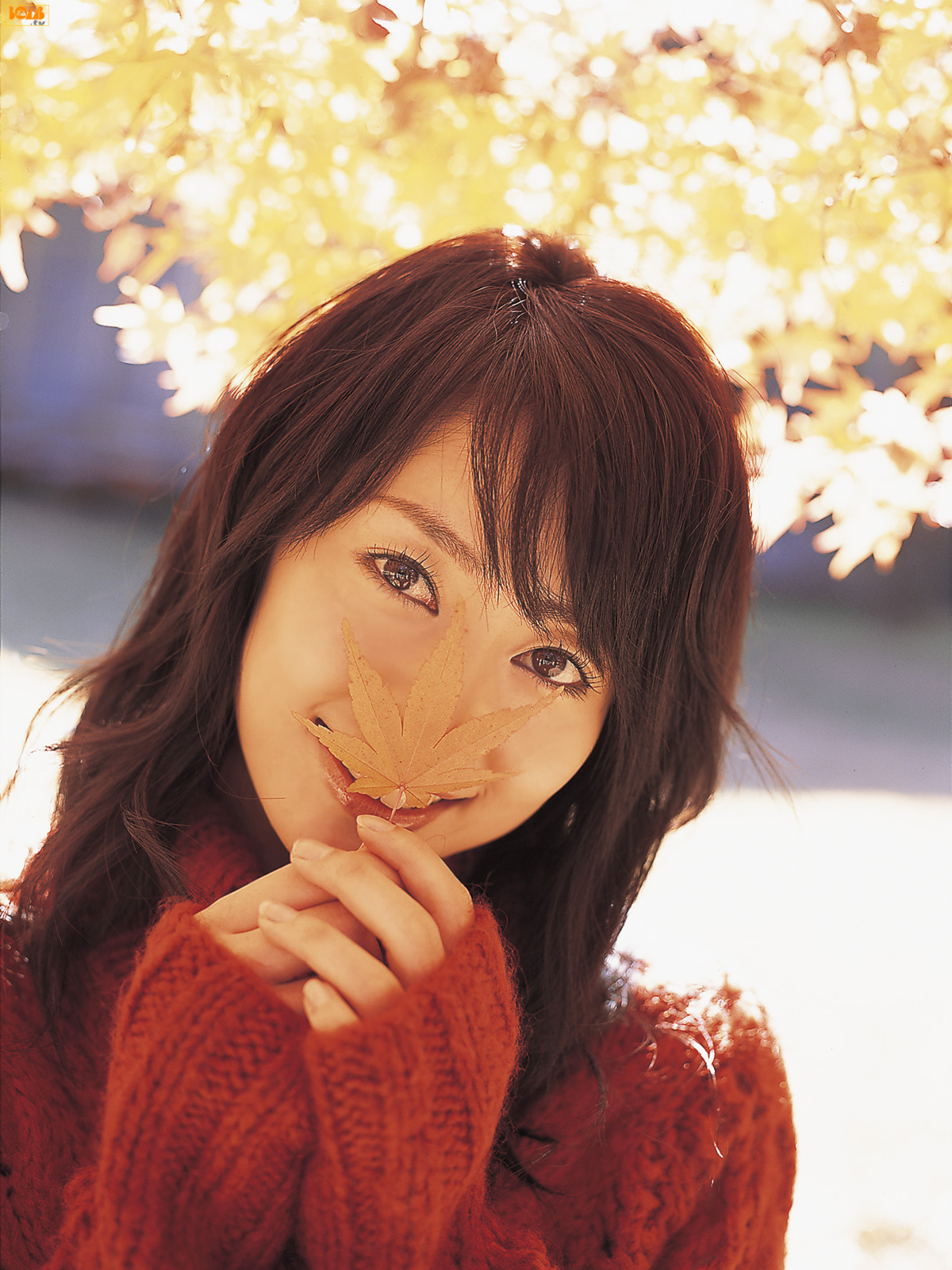 谷桃子Momoko Tani 日本美女图片 ASIA Bomb.TV